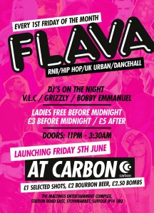 flava_launch_a6_back